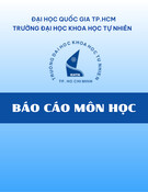 Báo cáo môn học: Tìm hiểu về thư viện số và ứng dụng