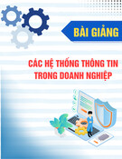 Bài giảng Các hệ thống thông tin trong doanh nghiệp - ThS. Trần Thanh Hương
