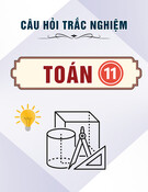 Câu hỏi trắc nghiệm ôn tập môn Toán lớp 11