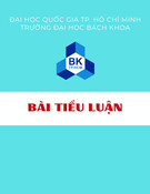 Bài tiểu luận: Hệ thống sản xuất aspirin từ thiết bị vỏ áo hoạt động liên tục cho ra 10kg sản phẩm mỗi giờ