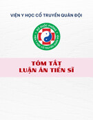 Tóm tắt Luận án Tiến sĩ: Nghiên cứu tác dụng của viên nang cứng Nhất Gan Linh trong điều trị xơ gan trên thực nghiệm và lâm sàng
