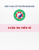 Luận án Tiến sĩ: Nghiên cứu tác dụng của viên nang cứng Nhất Gan Linh trong điều trị xơ gan trên thực nghiệm và lâm sàng