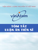Tóm tắt Luận án Tiến sĩ: Nghiên cứu ảnh hưởng của chiếu xạ electron từ máy gia tốc đến cấu trúc của vật liệu zeolite zsm 5