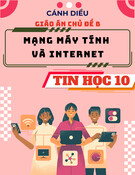 Giáo án Tin học 10 Cánh diều - Chủ đề B: Mạng máy tính và internet