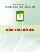 Báo cáo đồ án: Thiết kế máy nghiền thức ăn chăn nuôi năng suất 100 kg/h