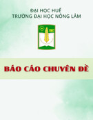 Báo cáo chuyên đề: Thiết kế quy trình công nghệ gia công chi tiết