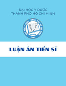 Luận án Tiến sĩ: Các yếu tố tiên lượng kết cục ở bệnh nhân nhồi máu não cấp do tắc động mạch thân nền được điều trị tái thông trong cửa sổ 24 giờ