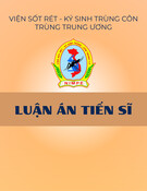 Luận án Tiến sĩ: Cơ cấu bệnh tim mạch và chất lượng cuộc sống của người cao tuổi mắc suy tim, rung nhĩ điều trị tại Bệnh viện Thống Nhất, thành phố Hồ Chí Minh