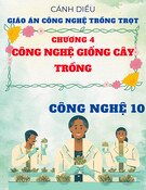 Giáo án Công nghệ trồng trọt 10 Cánh diều - Chương 4: Công nghệ giống cây trồng