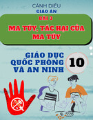 Giáo án Giáo dục Quốc phòng và An ninh 10 Cánh diều - Bài 3: Ma túy, tác hại của ma túy
