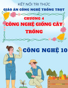 Giáo án Công nghệ trồng trọt 10 Kết nối tri thức - Chương 4: Công nghệ giống cây trồng
