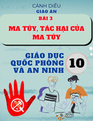 Giáo án Giáo dục Quốc phòng và An ninh 10 Cánh diều - Bài 3: Ma túy, tác hại của ma túy