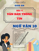 Giáo án Ngữ văn 10 Cánh diều - Bài 4: Văn bản thông tin