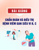 Bài giảng Chẩn đoán và điều trị bệnh viêm gan siêu vi B, C