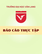 Báo cáo thực tập: Tại Công ty TNHH Toyota Bến Thành