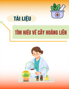 Tài liệu Tìm hiểu về cây Hoàng liên - Coptis chinensis Franch