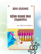 Bài giảng Bệnh giang mai (Syphillis) - Bs. Trần Thị Tường Vi