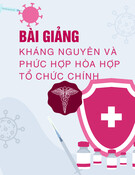 Bài giảng Kháng nguyên và phức hợp hòa hợp tổ chức chính - BS. Nguyễn Thị Như Ly