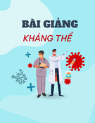 Bài giảng Kháng thể - BS. Nguyễn Thị Như Ly