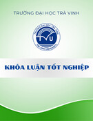 Khóa luận tốt nghiệp: Ảnh hưởng của chất lượng dịch vụ ngân hàng và hình ảnh thương hiệu đến sự hài lòng và ý định tiếp tục sử dụng dịch vụ tại Ngân hàng Thương mại Cổ phần Sài Gòn Thương Tín - Chi nhánh Trà Vinh: Trường hợp khách hàng cá nhân