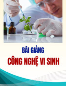 Bài giảng Công nghệ vi sinh: Chương 1 - Lịch sử phát triển và ứng dụng của công nghệ vi sinh