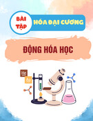 Bài tập Hóa đại cương: Động hóa học (Có đáp án)