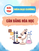 Bài tập Hóa đại cương: Cân bằng hóa học (Có đáp án)