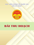 Bài thu hoạch: Nâng cao văn hóa chính trị của cán bộ Đoàn theo phong cách Hồ Chí Minh trên địa bàn thị xã Phú Mỹ, tỉnh Bà Rịa - Vũng Tàu trong giai đoạn hiện nay