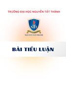 Bài tiểu luận: Phân tích và đề xuất chiến lược cho Công ty Cổ phần Nhựa Bình Minh