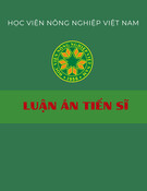 Luận án Tiến sĩ: Nghiên cứu một số đặc tính sinh học và khả năng gây bệnh của virus dịch tả lợn Châu Phi tại miền Bắc Việt Nam