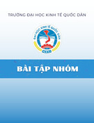Bài tập nhóm: Bảo vệ quyền lợi người tiêu dùng trong các vụ vi phạm thương mại điện tử