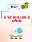 Tài liệu Kỹ thuật trồng, chăm sóc bưởi diễn