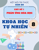 Giáo án Khoa học tự nhiên 8 Kết nối tri thức - Chủ đề 1: Phản ứng hóa học