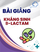 Bài giảng Kháng sinh β-lactam
