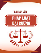 Hướng dẫn làm bài tập lớn môn Pháp luật Việt Nam đại cương - Chủ đề 3: Nhận diện hợp đồng lao động theo Bộ Luật Lao động năm 2019