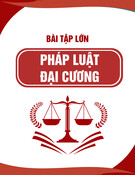 Hướng dẫn làm bài tập lớn môn Pháp luật Việt Nam đại cương - Chủ đề 4: Bàn về vấn đề sa thải người lao động theo Bộ Luật Lao động năm 2019
