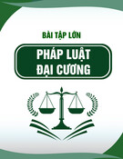 Hướng dẫn làm bài tập lớn môn Pháp luật Việt Nam đại cương - Chủ đề 1: Hiệu lực pháp luật của giao dịch dân sự do “người yếu thế” xác lập, thực hiện theo Bộ Luật Dân sự năm 2015