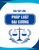 Hướng dẫn làm bài tập lớn môn Pháp luật Việt Nam đại cương - Chủ đề 2: Điều kiện có hiệu lực của di chúc theo Bộ Luật Dân sự năm 2015