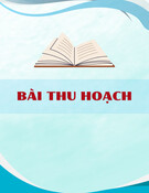 Bài thu hoạch: Sứ mệnh của thanh niên trong kỷ nguyên mới, kỷ nguyên vươn mình của dân tộc