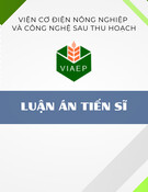 Luận án Tiến sĩ: Nghiên cứu công nghệ chế biến hành đen và khai thác tiềm năng sinh học, ứng dụng trong công nghệ thực phẩm