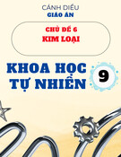 Giáo án Khoa học tự nhiên 9 Cánh diều - Chủ đề 6: Kim loại
