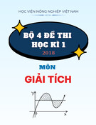 Bộ 4 đề thi kết thúc học phần môn Giải tích năm 2018 có đáp án - Học viện Nông nghiệp Việt Nam