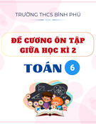 Đề cương ôn tập giữa học kì 2 môn Toán lớp 6 năm 2024-2025 - Trường THCS Bình Phú
