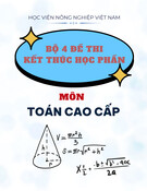 Bộ 4 đề thi kết thúc học phần môn Toán cao cấp năm 2017 có đáp án - Học viện Nông nghiệp Việt Nam