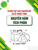 Tuyển tập các chuyên đề và kĩ thuật tính nguyên hàm, tích phân - Nguyễn Duy Đăng