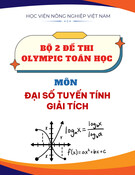 Bộ 2 đề thi Olympic Toán học toàn học viện môn Đại số và Giải tích năm 2019-2020 có đáp án - Học viện Nông nghiệp Việt Nam