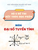Bộ 6 đề thi kết thúc học phần môn Đại số tuyến tính năm 2019 có đáp án – Học viện Nông nghiệp Việt Nam