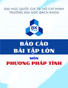Báo cáo bài tập lớn môn Phương pháp tính: Tìm sai số của h2 bằng phương pháp Newton