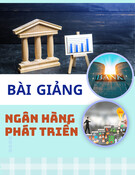 Bài giảng Ngân hàng phát triển: Chương 2 - Tổng quan về ngân hàng phát triển
