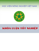 Khóa luận tốt nghiệp: Phân tích chiến lược sản phẩm dành cho khách hàng cá nhân của Ngân hàng Nông nghiệp và Phát triển Nông thôn Việt Nam, Chi nhánh Thị xã Sa Pa, Lào Cai